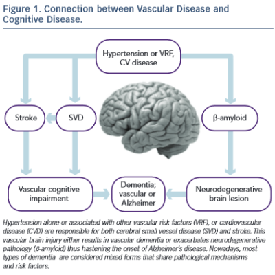 Connection between Vascular Disease and Cognitive Disease
