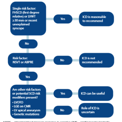Flow Chart of the 2011 ACCFAHA Model