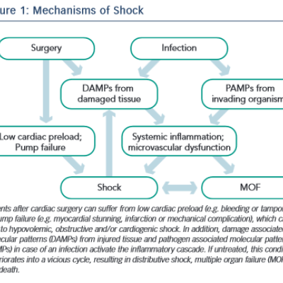 Mechanisms of Shock