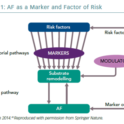 AF as a Marker and Factor of Risk