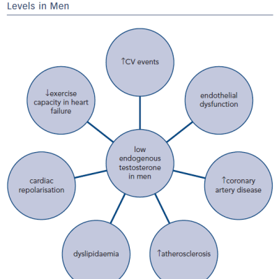 Figure 1 Cardiovascular CV effects of Low Testosterone&ampltbr /&ampgt&amp10Levels in Men