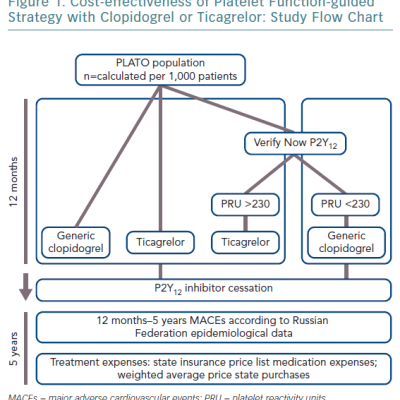 Cost-effectiveness of Platelet Function-guided Strategy with Clopidogrel or Ticagrelor Study Flow Chart