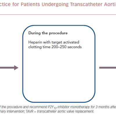 Figure 1 Current Antithrombotic Practice for Patients Undergoing Transcatheter