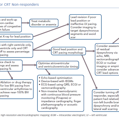 Decision Tree for CRT Non-responders