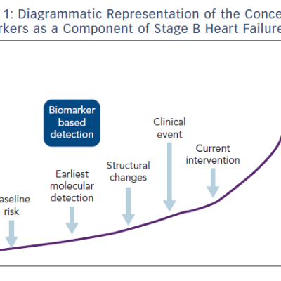 Figure 1 Diagrammatic Representation of the Concept of Biomarkers as a Component of Stage B Heart Failure