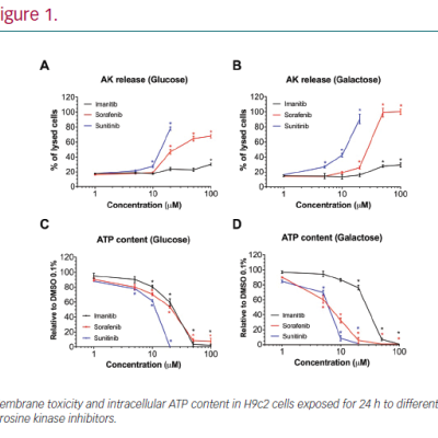 Mechanisms of Cardiotoxicity Associated