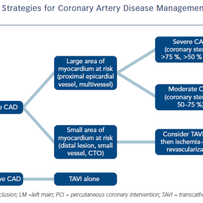 Figure 1 Flow Chart of Suggested Strategies for Coronary Artery Disease Management in Transcatheter Aortic Valve Implantation Candidates