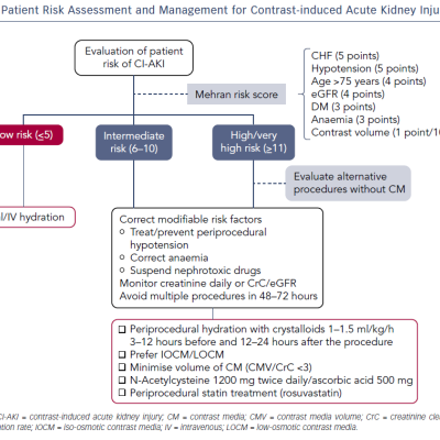 Figure 1 Flowchart of Patient Risk Assessment and Management for Contrast-induced Acute Kidney Injury