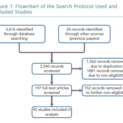 Flowchart of the Search Protocol Used and Included Studies