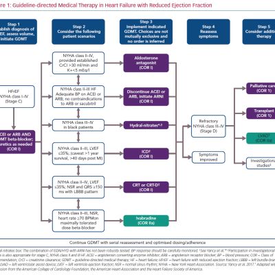 Guideline-directed Medical Therapy