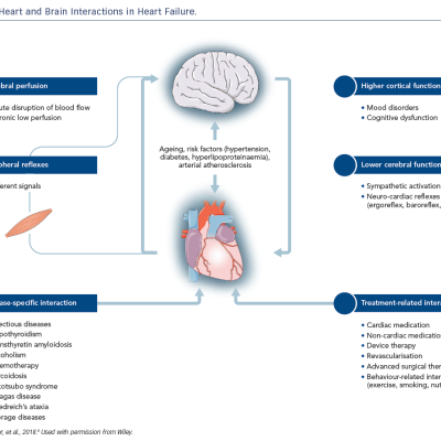 Figure 1 Heart and Brain Interactions in Heart Failure