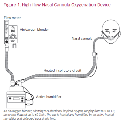 High-flow Nasal Cannula Oxygenation Device