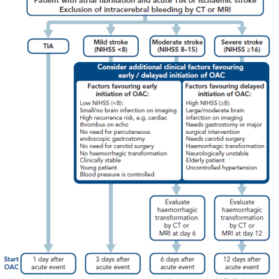 Figure 1 Initiation or Continuation of Anticoagulation in Atrial Fibrillation Patients After a Stroke or Transient Ischaemic Attack