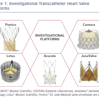 Figure 1 Investigational Transcatheter Heart Valve Platforms