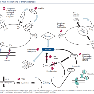 Figure 1 Main Mechanisms of Thrombogenesis