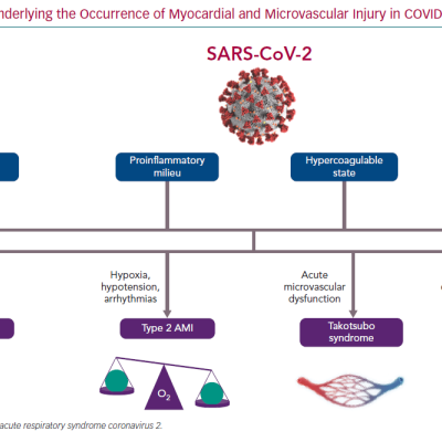 Mechanisms Underlying the Occurrence