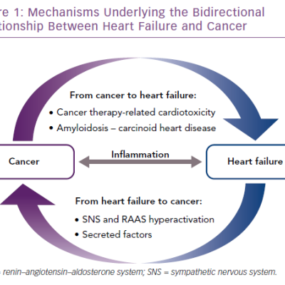 Mechanisms Underlying the Bidirectional Relationship Between Heart Failure and Cancer