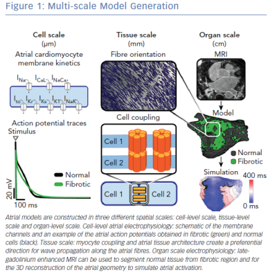 Multi-scale Model Generation