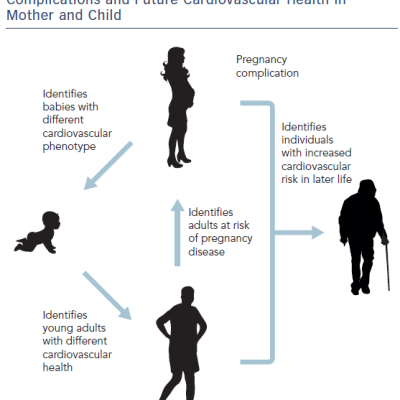 Figure 1 Potential Links Between Pregnancy Complications and Future Cardiovascular Health in Mother and Child
