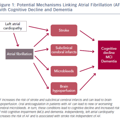 Figure 1 Potential Mechanisms Linking Atrial Fibrillation AF with Cognitive Decline and Dementia