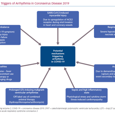 Potential Triggers of Arrhythmia in Coronavirus Disease 2019