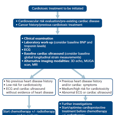 Figure 1 Proposed Algorithm for the Baseline Evaluation of a Patient Planned to Receive Cardiotoxic Treatment