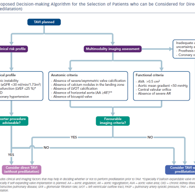 Figure 1 Proposed Decision-making Algorithm for the Selection of Patients who can be Considered for Direct TAVI Without Predilatation