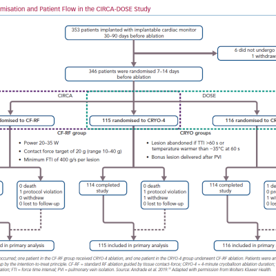Randomisation and Patient Flow in the CIRCA-DOSE Study