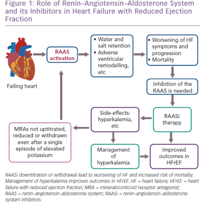 Role of Renin–Angiotensin–Aldosterone System and its Inhibitors in Heart Failure with Reduced Ejection Fraction