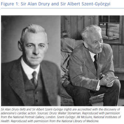 Sir Alan Drury and Sir Albert Szent-Györgyi