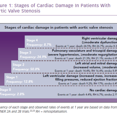 Stages of Cardiac Damage In Patients With Aortic Valve Stenosis