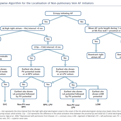 Stepwise Algorithm for the Localisation of Non-pulmonary Vein AF Initiators