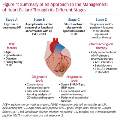 Summary of an Approach to the Management of Heart Failure Through its Different Stages