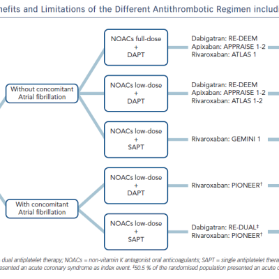 Figure 1 Summary of Benefits and Limitations of the Different Antithrombotic Regimen including NOACs after ACS