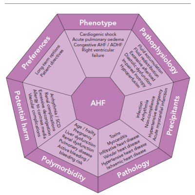 Figure 1 The 7-P Initial Evaluation of Acute Heart Failure&ampltbr /&ampgt&amp10Patients