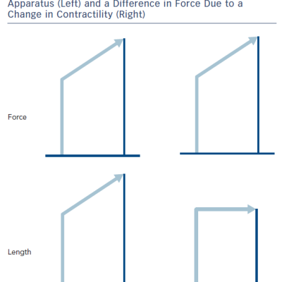 Figure 1 The Difference between the Muscular Force of a Contraction Due to Increase of Length of the Contractile Apparatus Left and a Difference in Force Due to a Change in Contractility Right