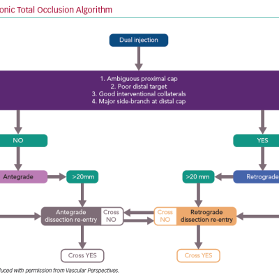 The Hybrid Chronic Total Occlusion Algorithm