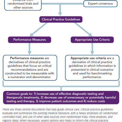 Figure 1 The Three Documents that Shape Clinical Care