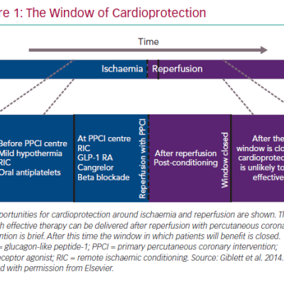 The Window of Cardioprotection