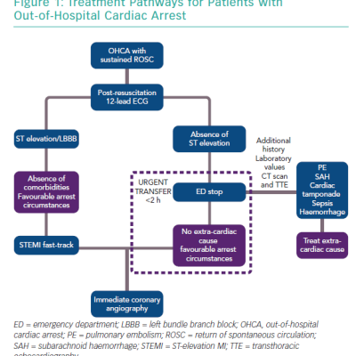 Treatment Pathways for Patients with Out-of-Hospital Cardiac Arrest