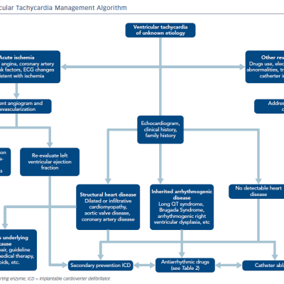 Figure 1 Ventricular Tachycardia Management Algorithm