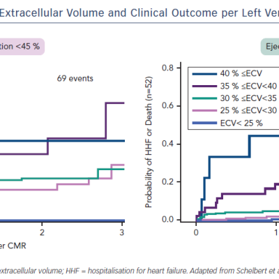 Figure 10 Association between Extracellular Volume and Clinical Outcome per Left Ventricular Ejection Fraction