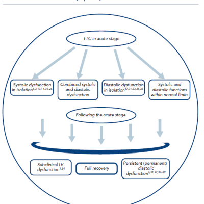 Figure 1 Clinical Course of LV Dysfunction in the Setting of Takotsubo Cardiomyopathy