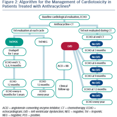 Algorithm for the Management of Cardiotoxicity in Patients Treated with Anthracyclines8