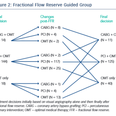 Fractional Flow Reserve Guided Group