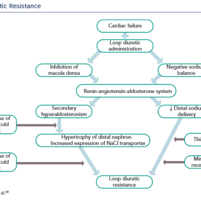 Mechanism of Diuretic Resistance