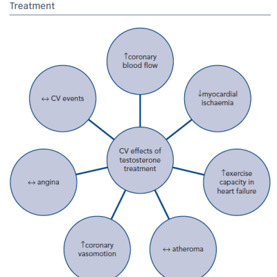 Figure 2 Cardiovascular CV Effects of Testosterone Treatment