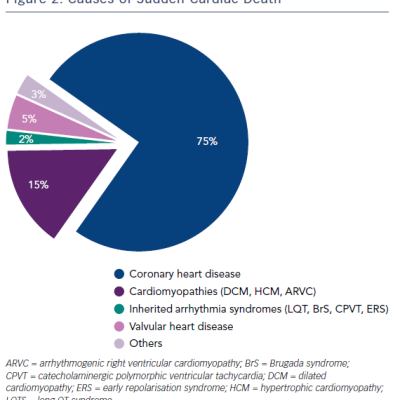 Figure 2 Causes of Sudden Cardiac Death