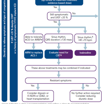 Figure 2 European Society of Cardiology Therapeutic Algorithm for a Patient with Symptomatic HFrEF