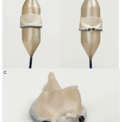 Images from In Vitro Testing Prior to an Early In Vivo Trial